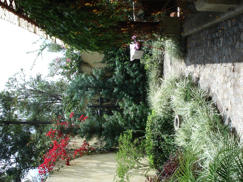 the-backyard_447769860_o