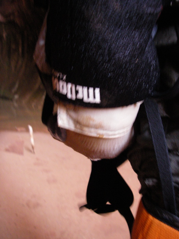 imgp1648_427244471_o