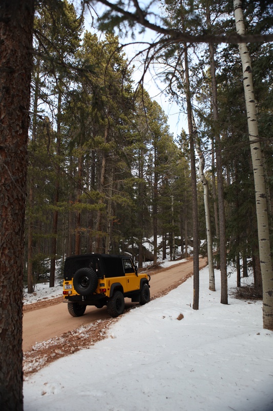 forest-road_5283686047_o