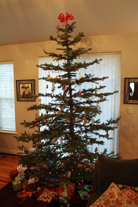 tree-is-set-up_5283683891_o