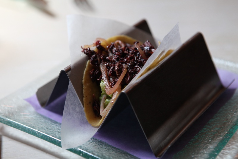 chapulines_5789206524_o