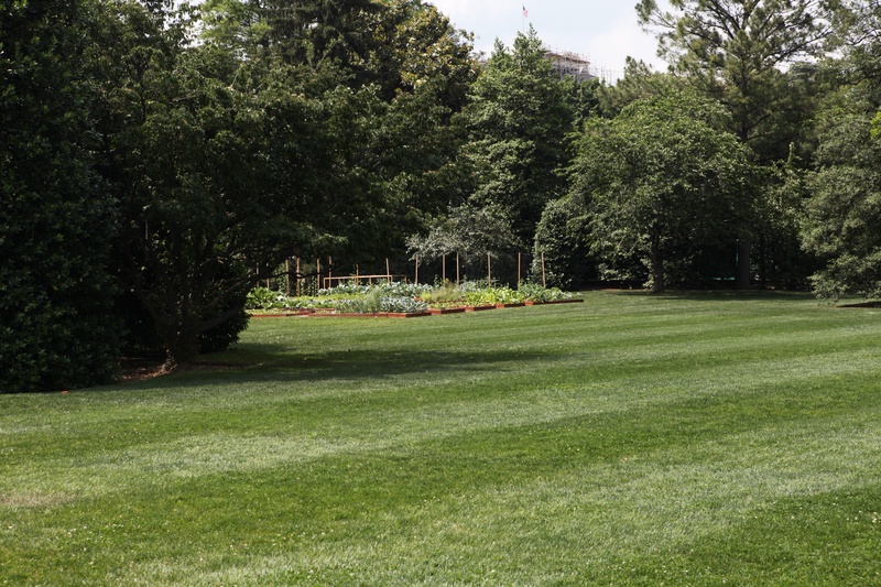 veggies_5788626289_o