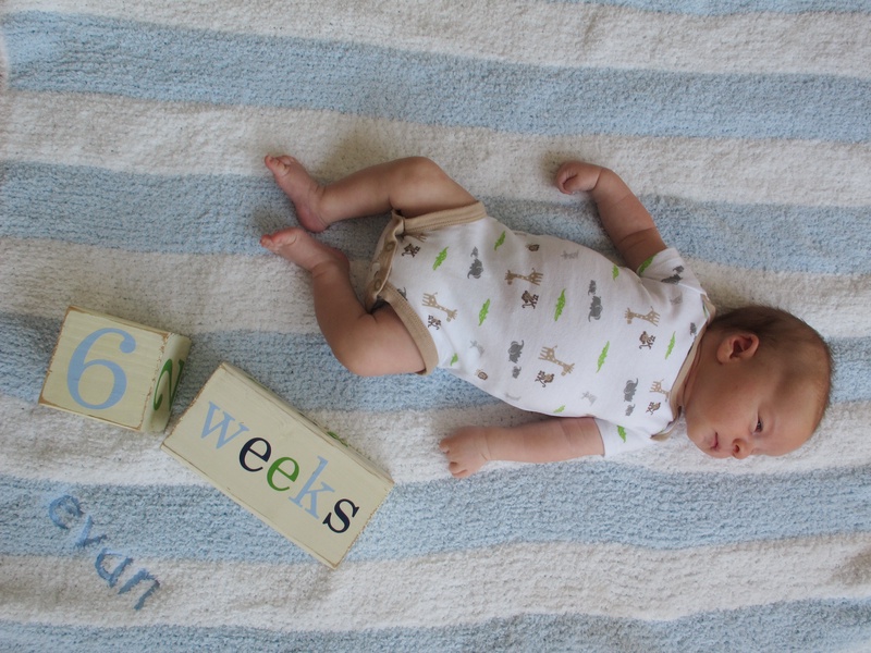 evan-six-weeks_7767273918_o