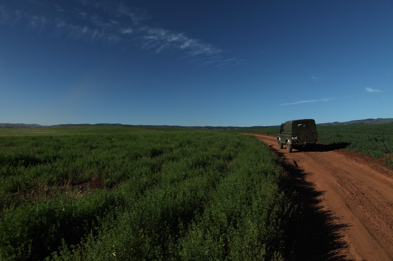 bucolic-afternoon_9045519545_o