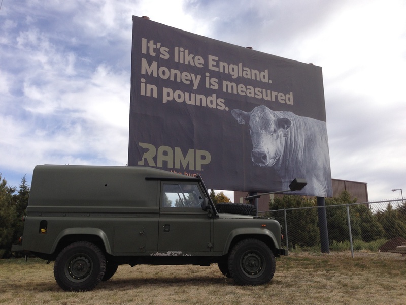 pounds-baby--pounds_8669258390_o