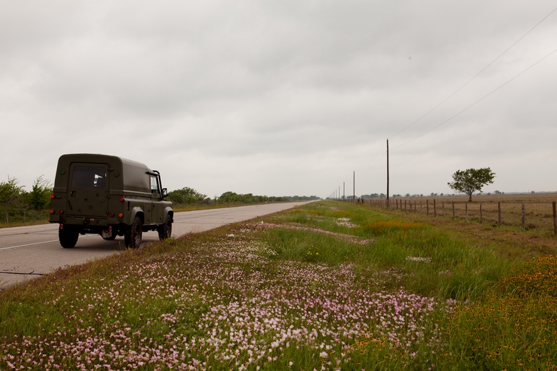 texas-wildflowers_8668146175_o