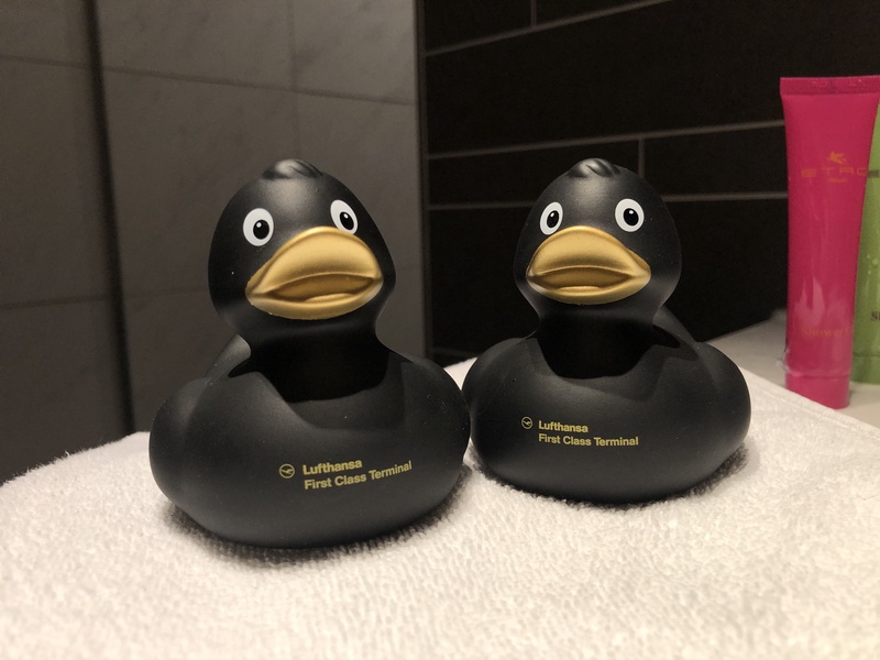 51847634700_db2eeecdc5_o