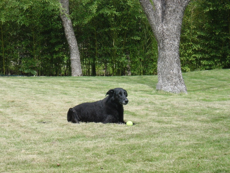 dsc01226jpg_121752647_o