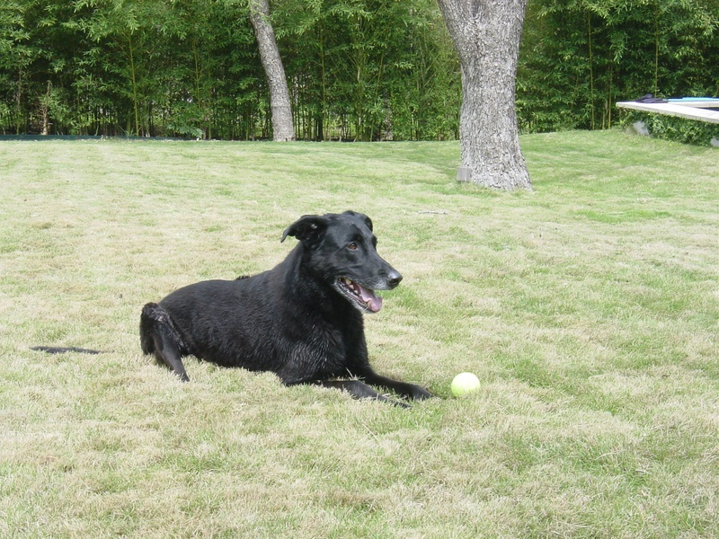 dsc01227jpg_121752674_o