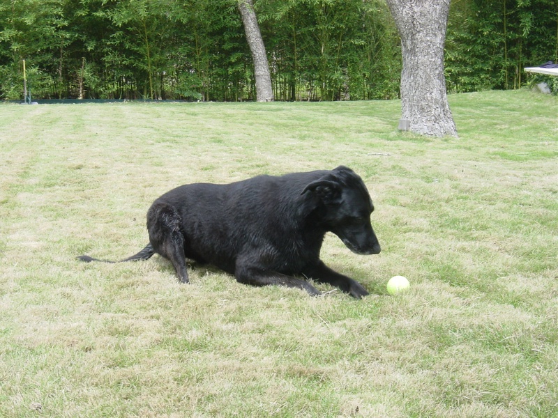 dsc01228jpg_121752717_o