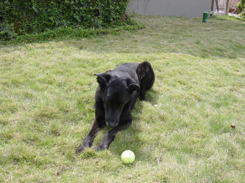 dsc01229jpg_121752761_o