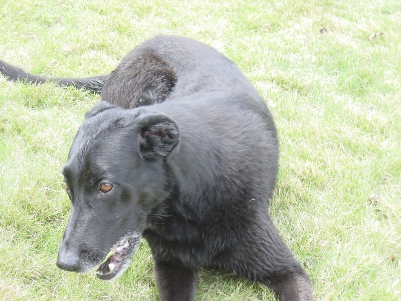 dsc01232jpg_121752871_o