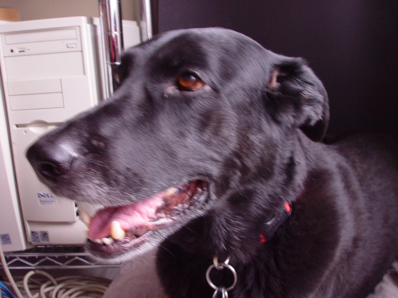 dsc05113_144358684_o