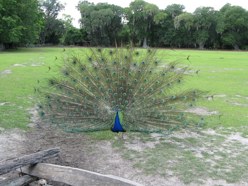 img_0182jpg_2533214610_o