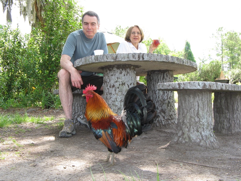 img_0191jpg_2533218728_o