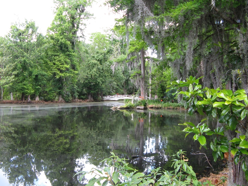 img_0197jpg_2532406571_o