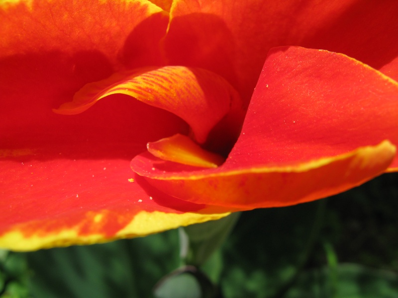 img_0202jpg_2533225038_o