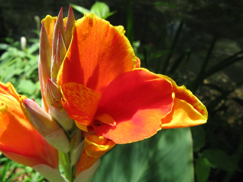 img_0204jpg_2533226200_o