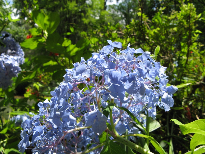 img_0209jpg_2532412089_o