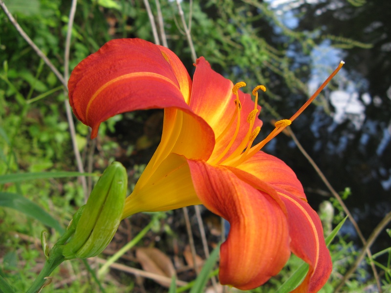 img_0217jpg_2533232230_o