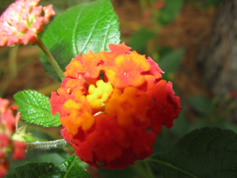 img_0231jpg_2533244382_o