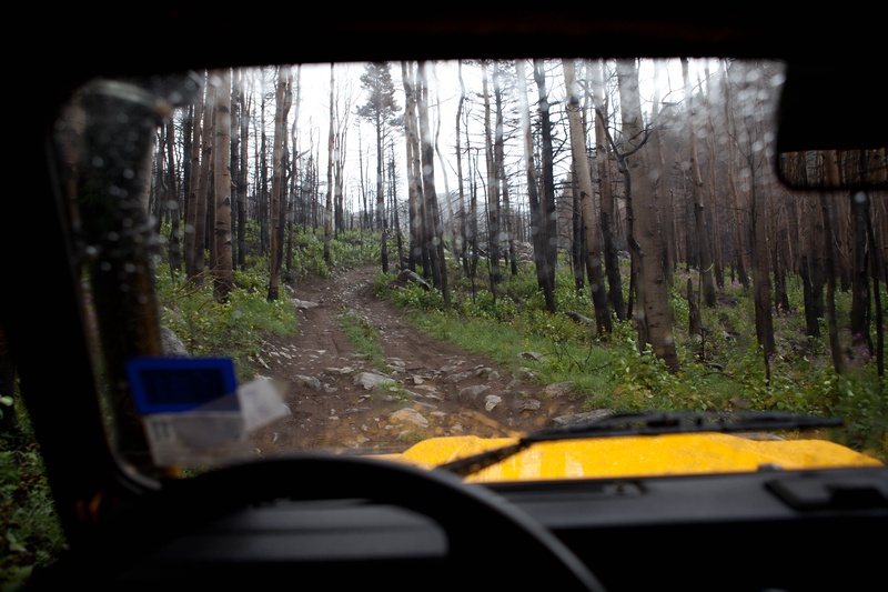 the-rain-came-down_4947599304_o