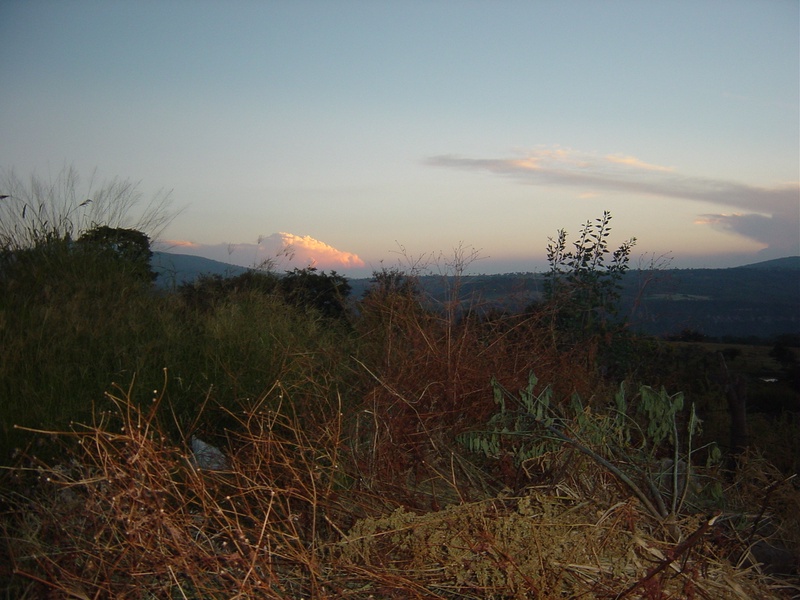 dsc00734_5261259171_o