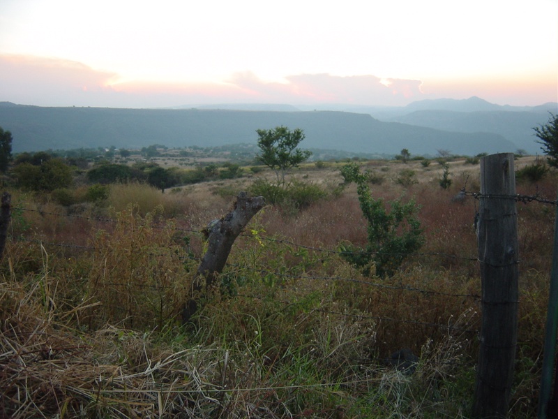 dsc00736_5261867230_o