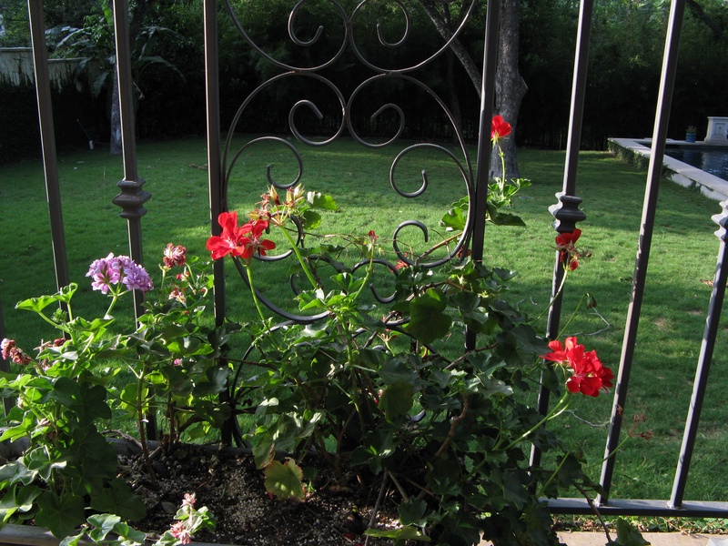 img_0060jpg_2532315847_o