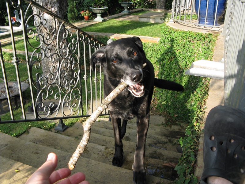 img_0062jpg_2533133188_o