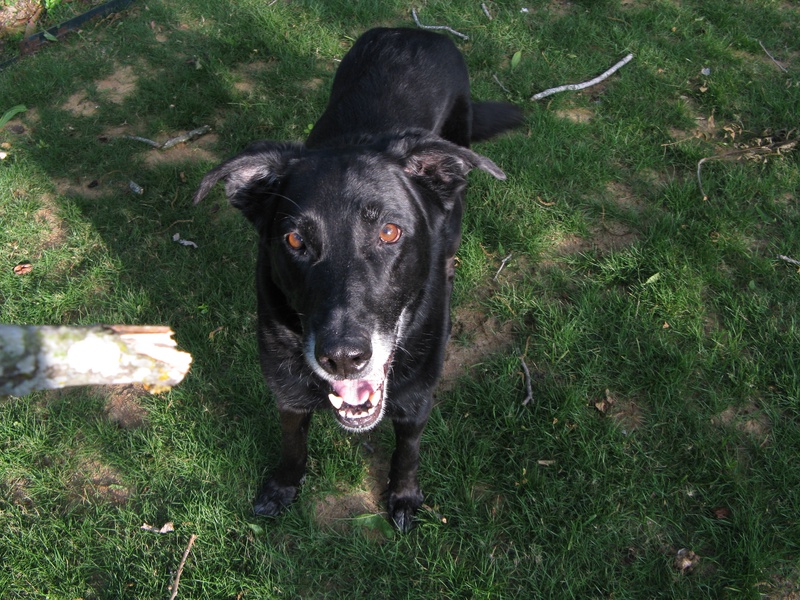 img_0068jpg_2532321477_o