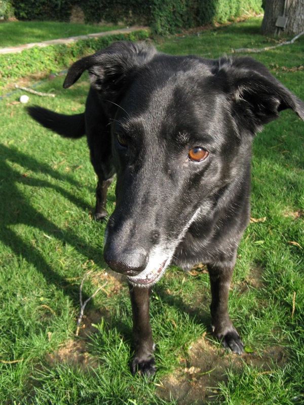 img_0069jpg_2533138810_o