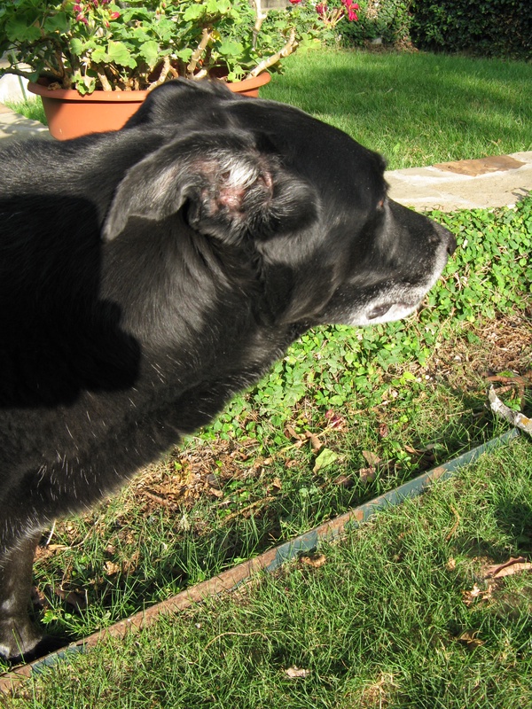 img_0073jpg_2532324185_o