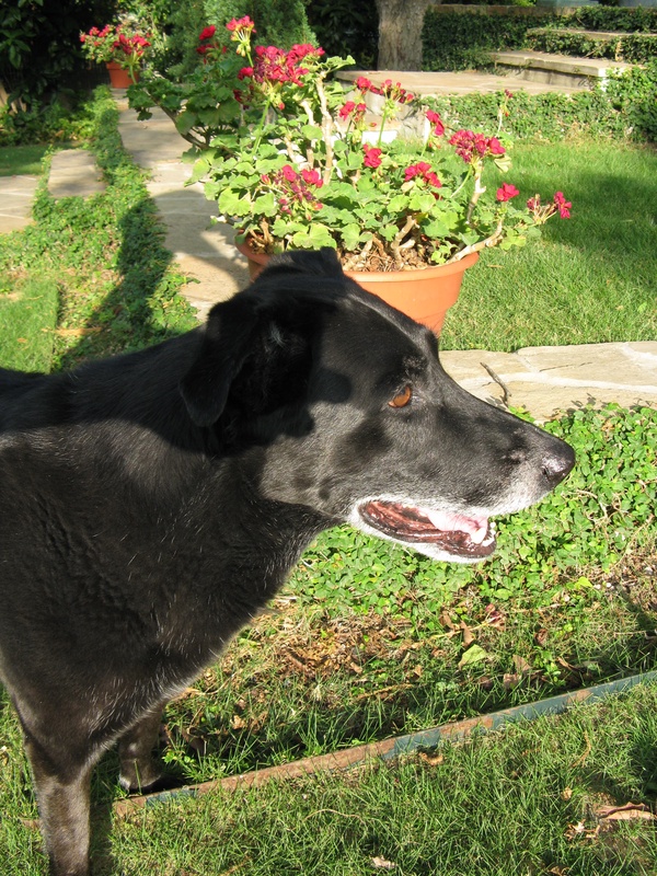 img_0076jpg_2532327525_o