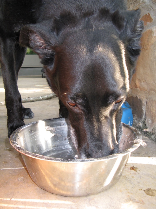 img_0087jpg_2533152478_o