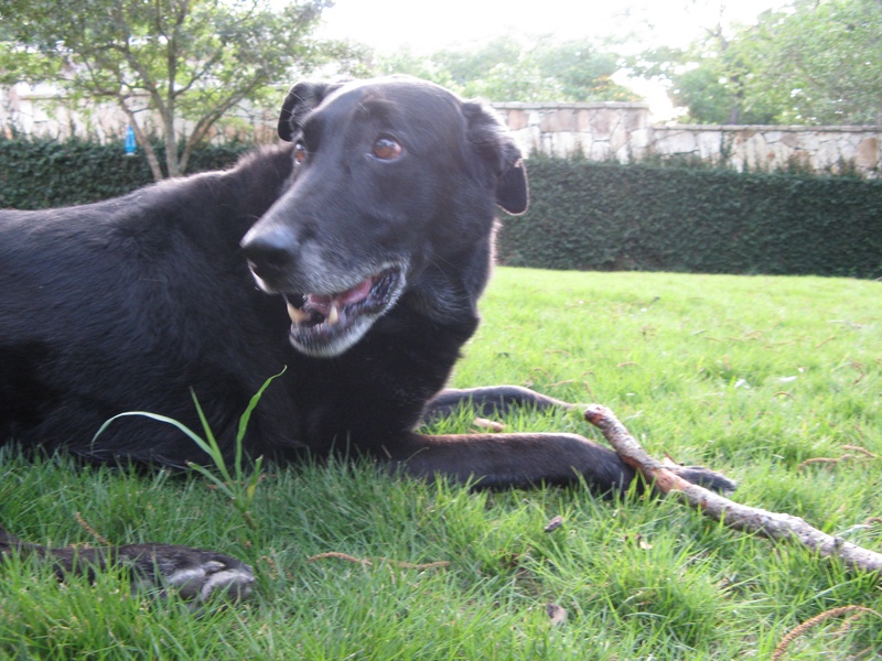 img_0101jpg_2533159020_o