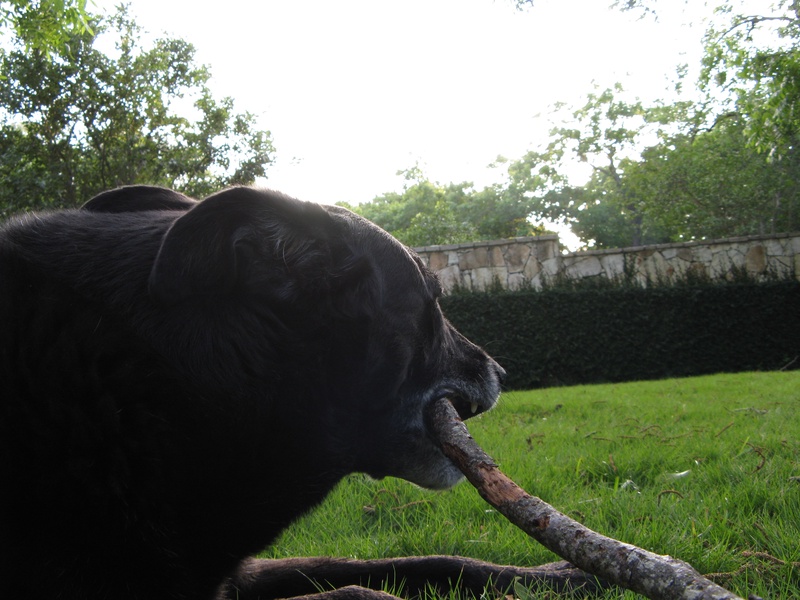 img_0102jpg_2533159628_o