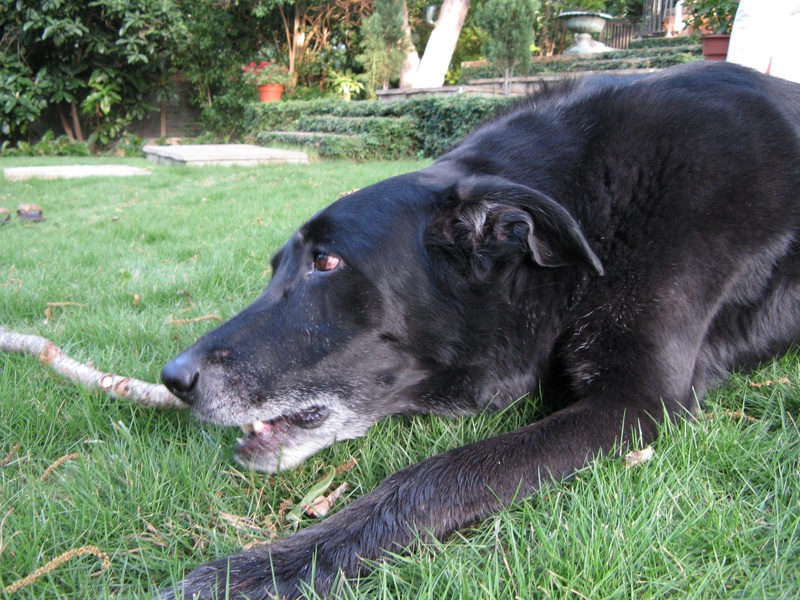 img_0104jpg_2532344469_o