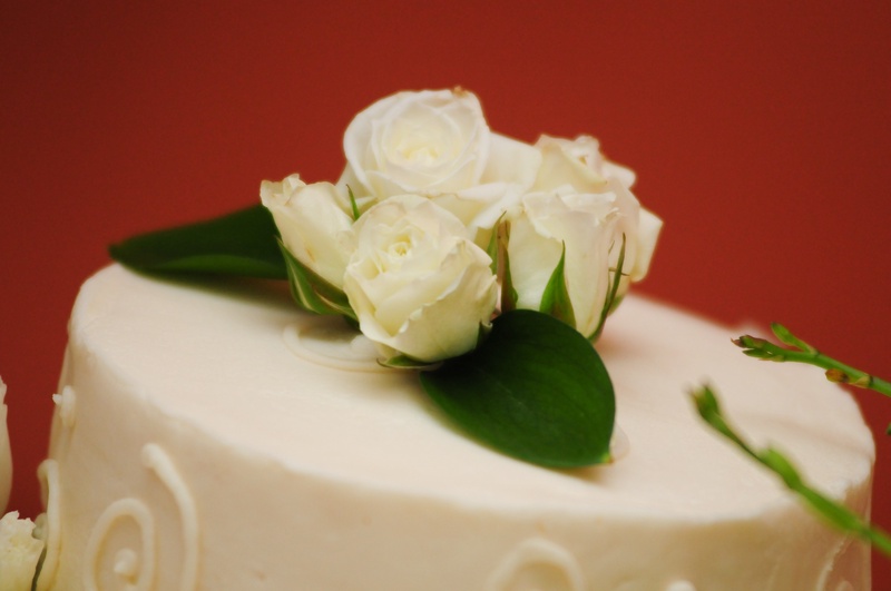 chris-and-rachel-023_3763163636_o