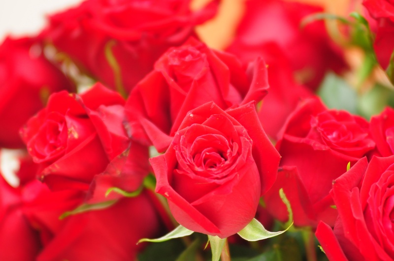 chris-and-rachel-025_3763168674_o