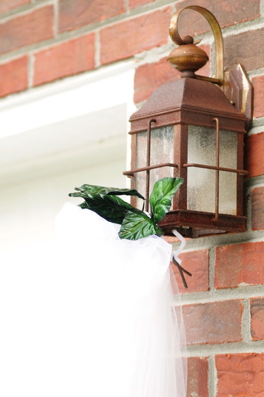 chris-and-rachel-037_3762400171_o