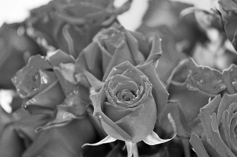 chris-and-rachel-025bw_3764817574_o