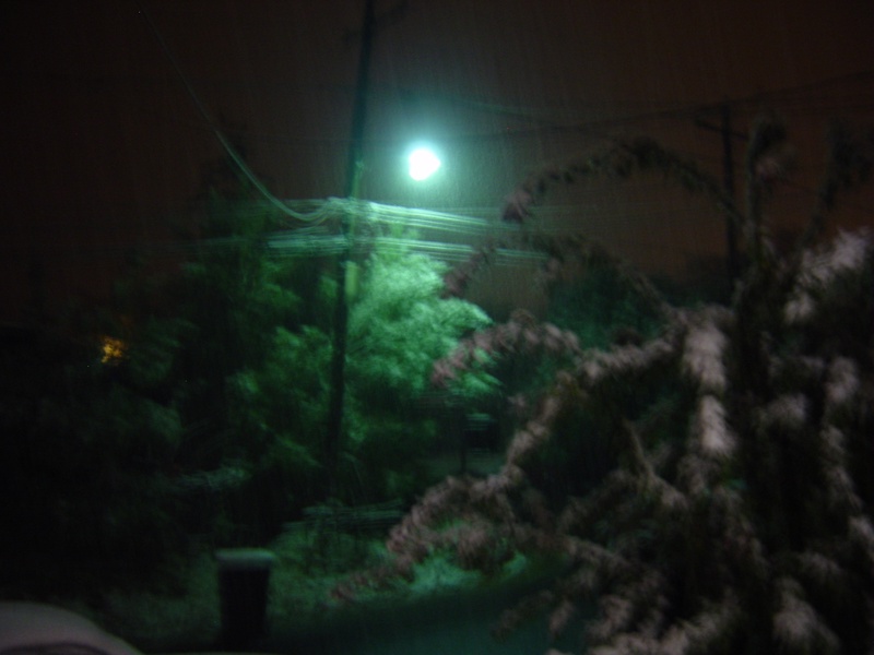 watching-it-fall_244377853_o