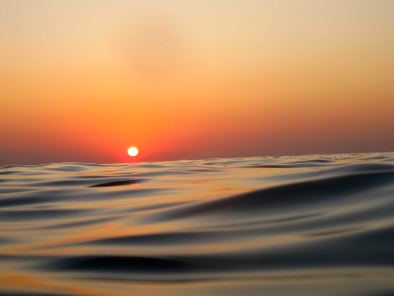 img_0117jpg_4247107432_o