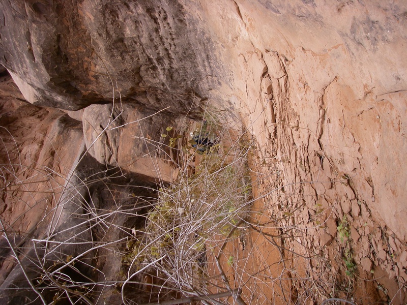 imgp0193_296185355_o