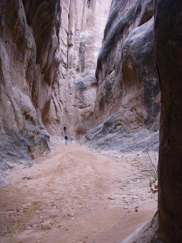 imgp0223_296192085_o