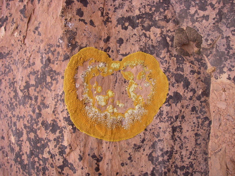 imgp0250_296197490_o