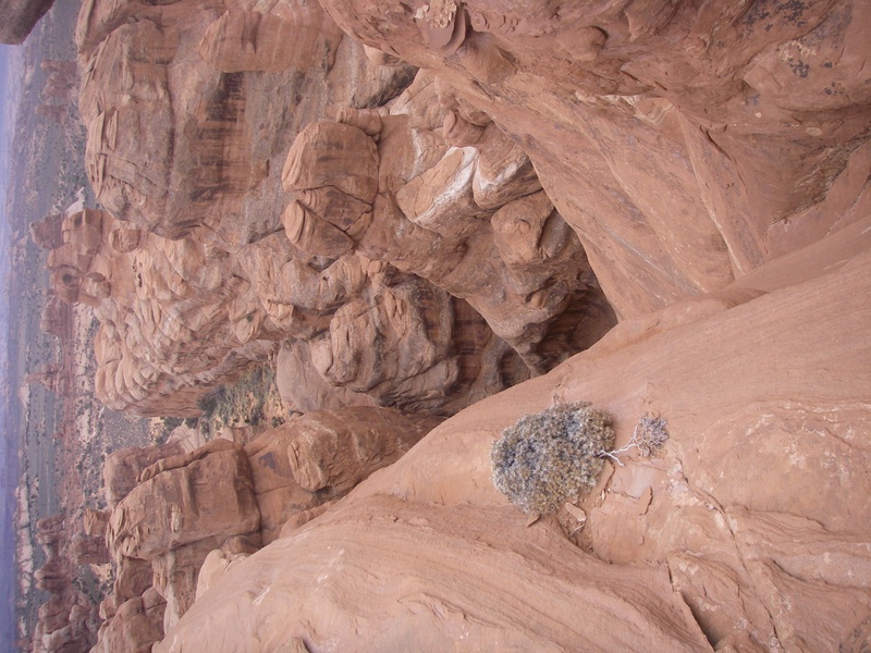 imgp0367_296218016_o