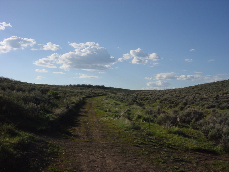 dsc01266jpg_147404131_o