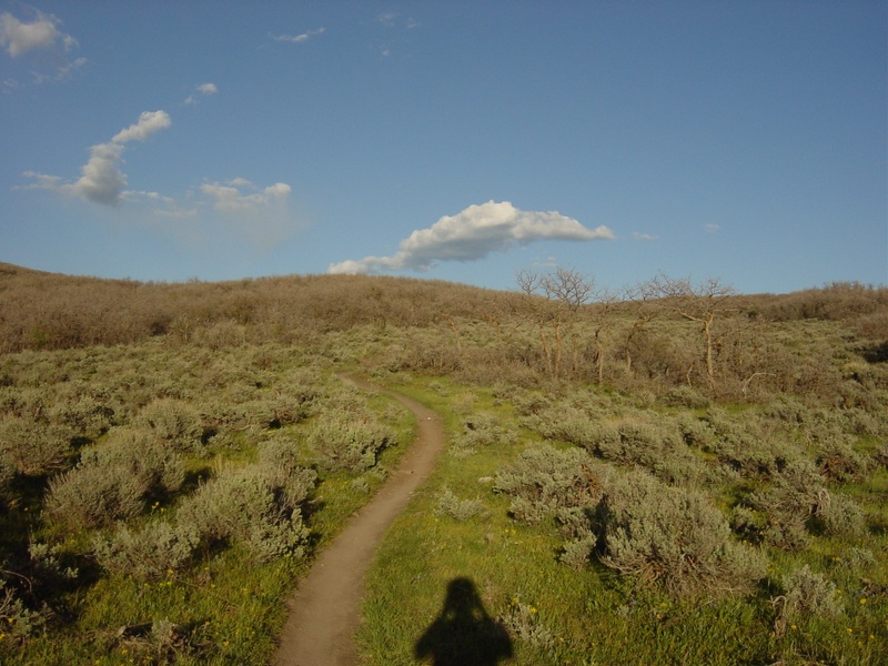 dsc01277jpg_147404945_o